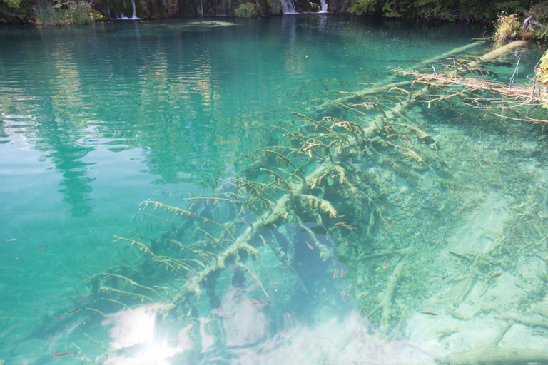 Park Narodowy Jezior Plitwickich
