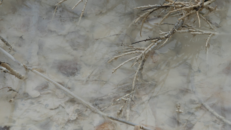 Osadnik Gajówka, czyli Lazurowe Jezioro