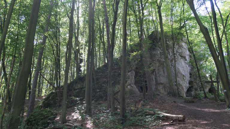 Szlakiem Orlich Gniazd