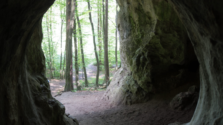 Szlakiem Orlich Gniazd