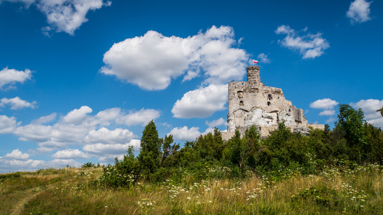 Szlakiem Orlich Gniazd