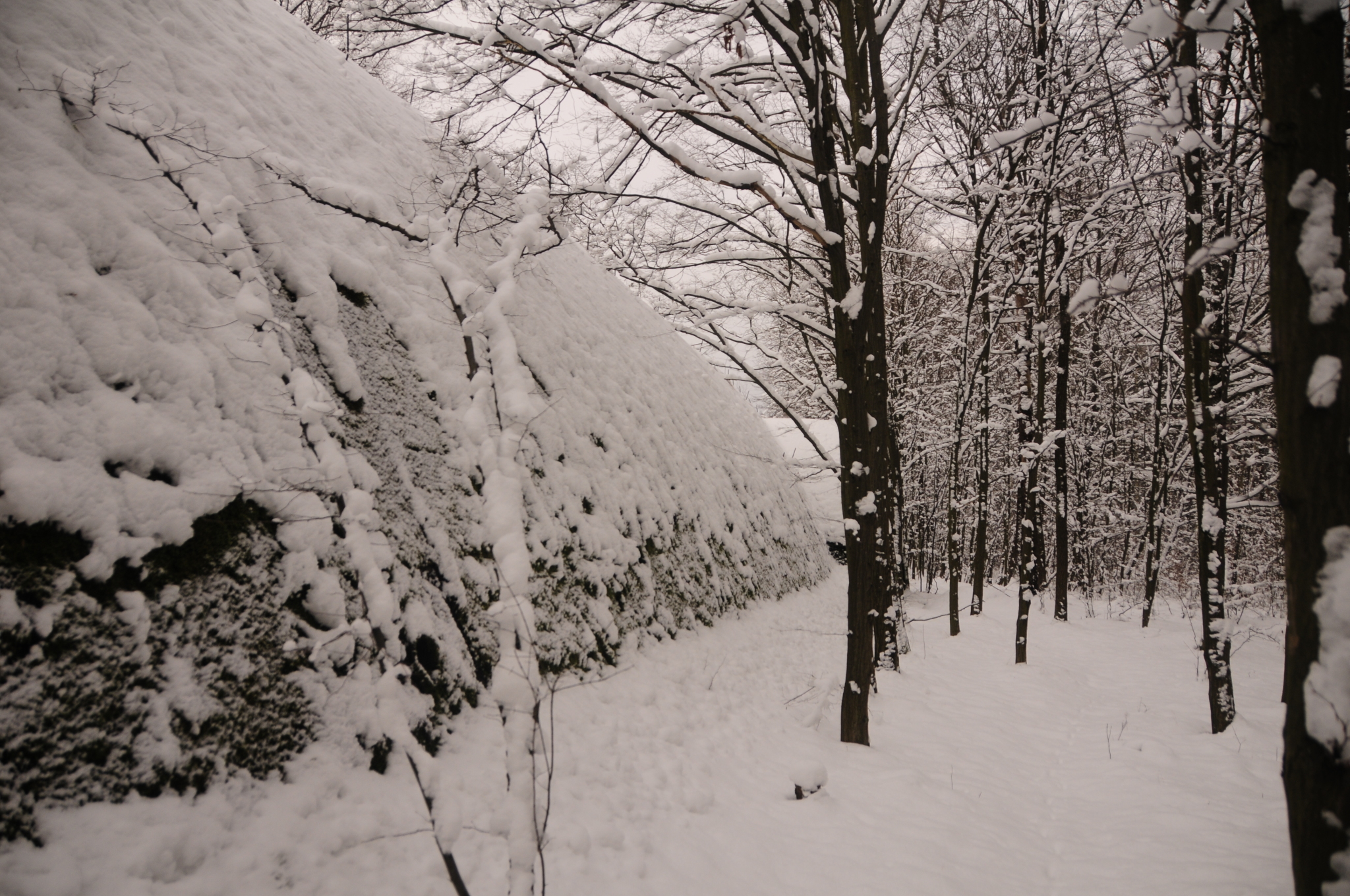 Stanowisko dowodzenia "Obszar Środek"