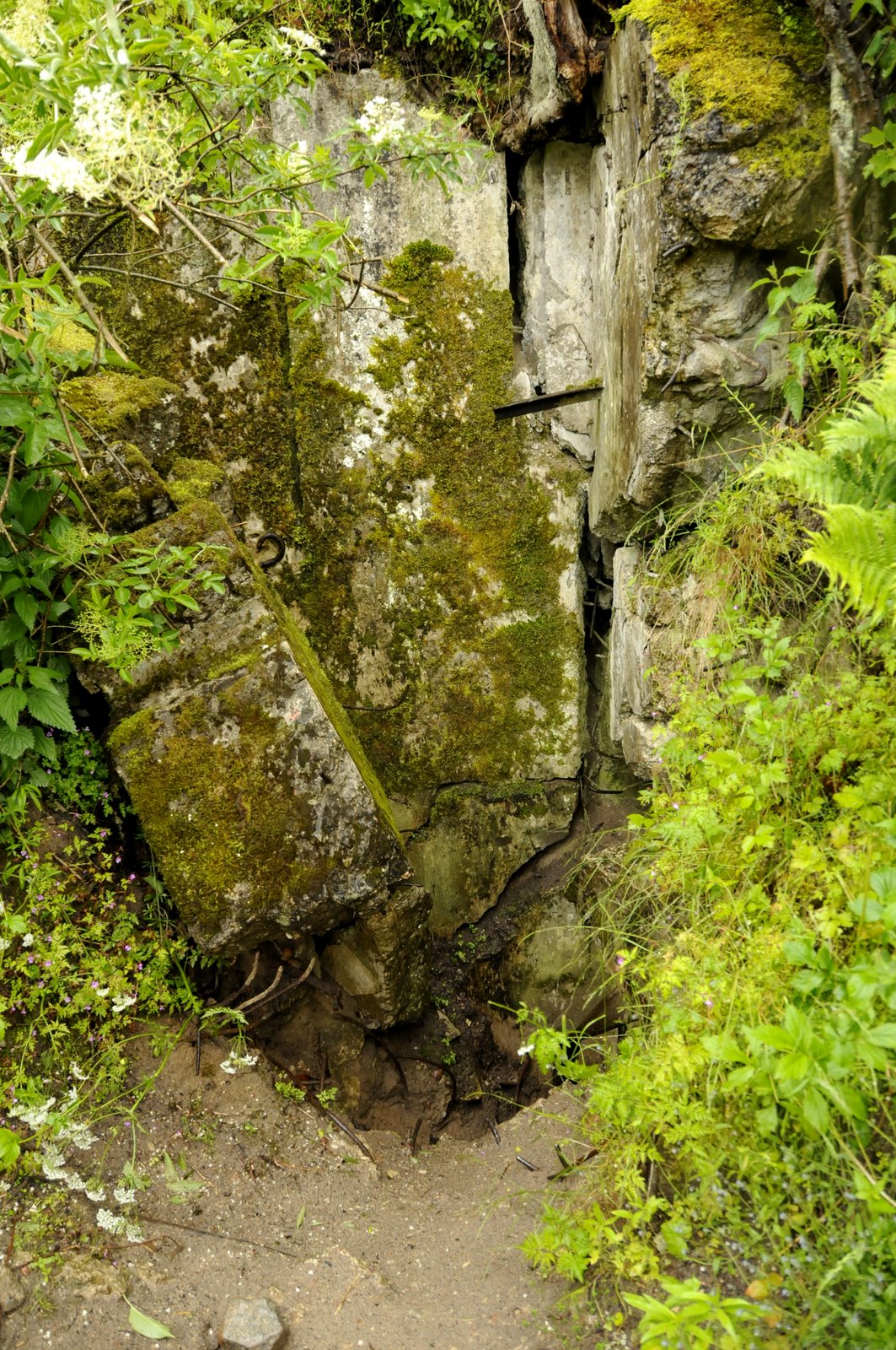 Grupa Warowna "Góra Śmiadowska"