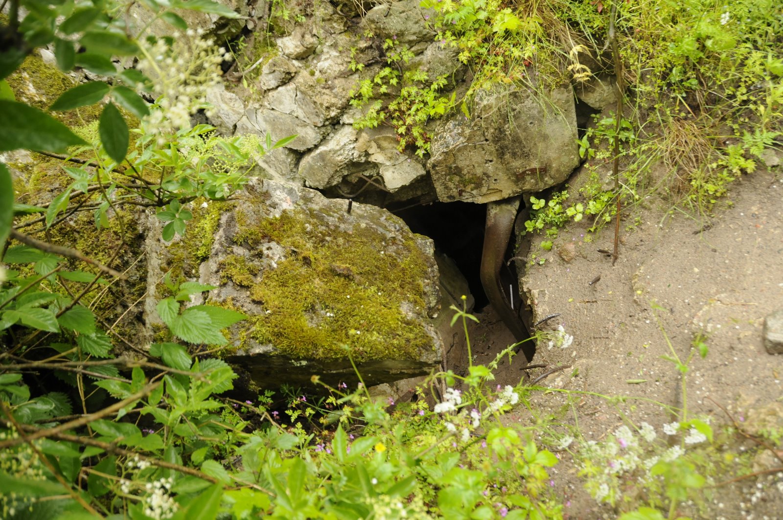 Grupa Warowna "Góra Śmiadowska"