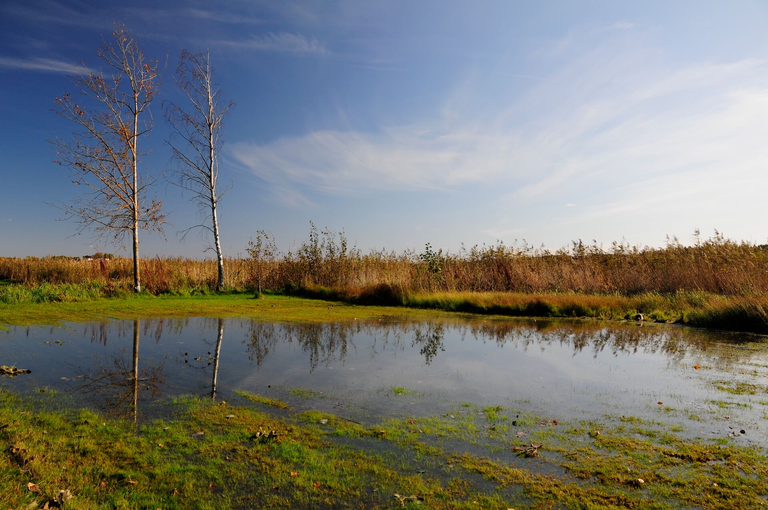 Szwecja - zielona kraina