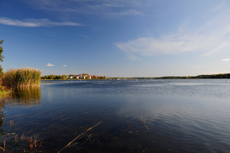 Szwecja - zielona kraina