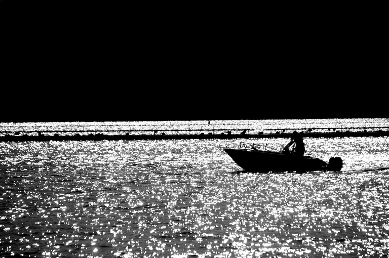 Szwecja - zielona kraina