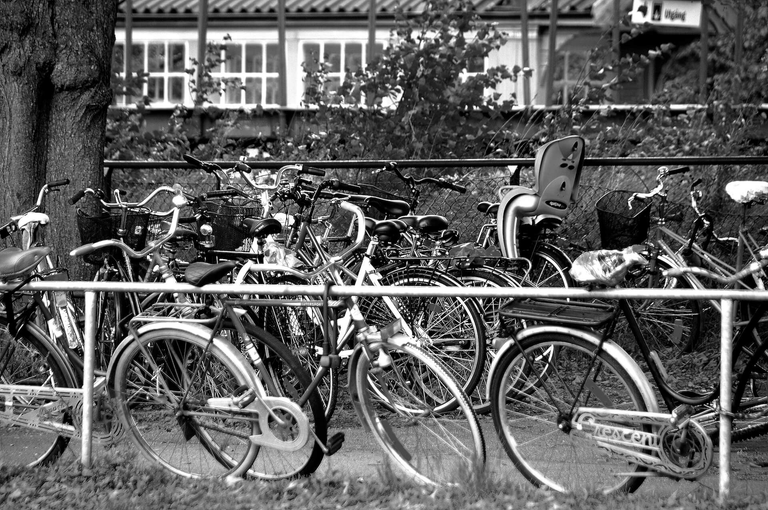 Szwecja - zielona kraina