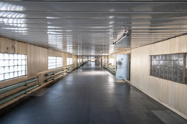 Nowy sarkofag w Czarnobylu