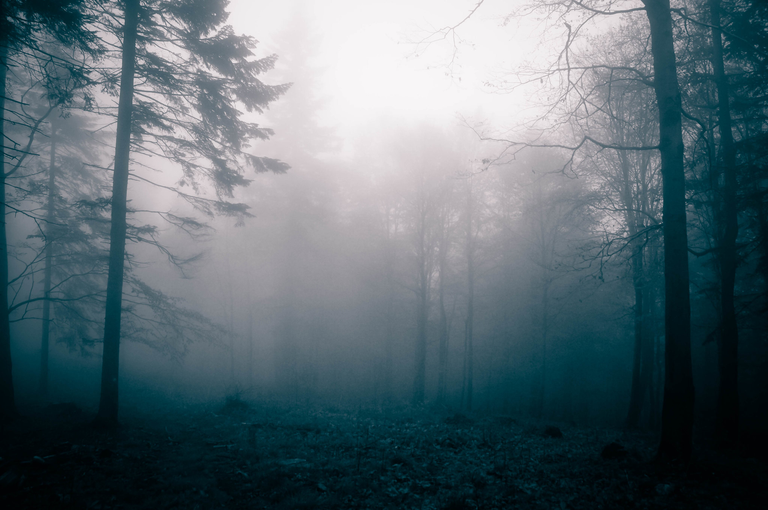 Bieszczady - magiczne góry wolności