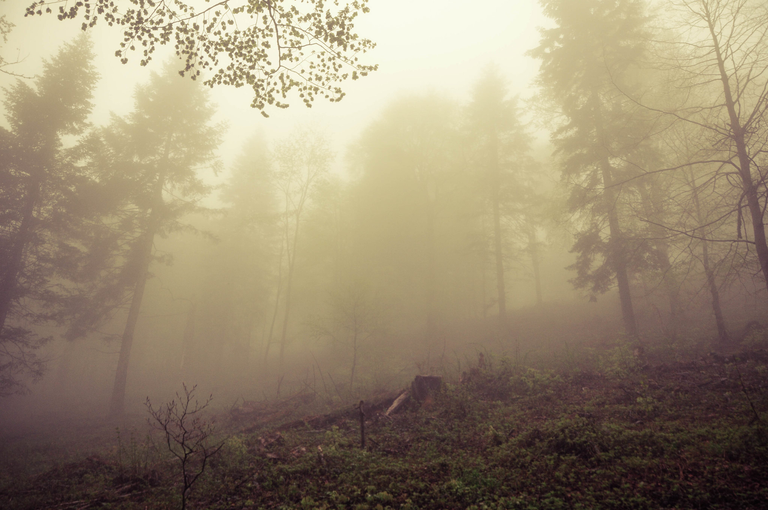 Bieszczady - magiczne góry wolności