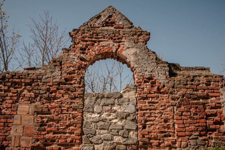 Co robi Boruta w Piątku w niedzielę?
