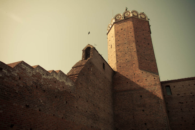 Co robi Boruta w Piątku w niedzielę?