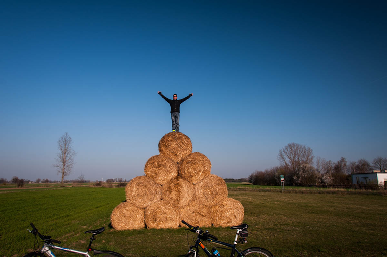 Co robi Boruta w Piątku w niedzielę?