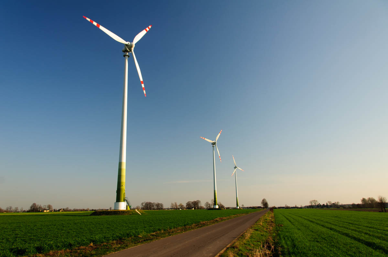 Co robi Boruta w Piątku w niedzielę?