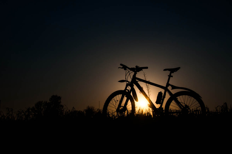 Co robi Boruta w Piątku w niedzielę?