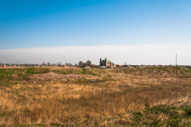 Co robi Boruta w Piątku w niedzielę?