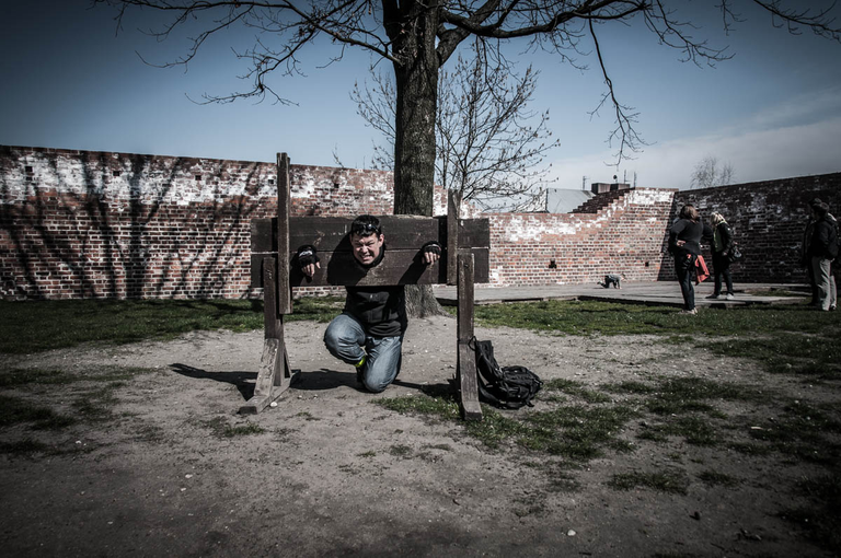 Co robi Boruta w Piątku w niedzielę?