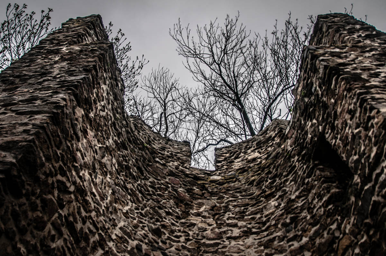 Dzierżoniów i Bielawa