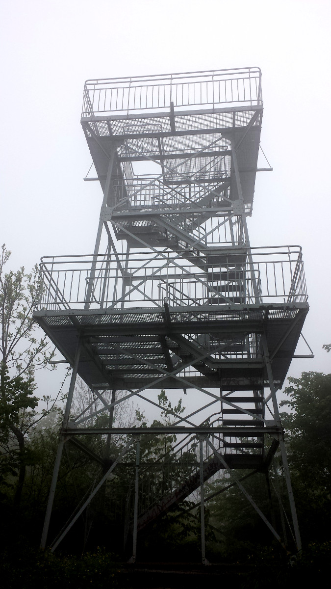 Dzierżoniów i Bielawa