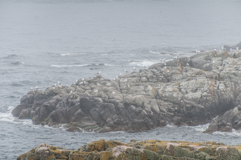 Tajemnicza wyspa Bałtyku – Christiansø