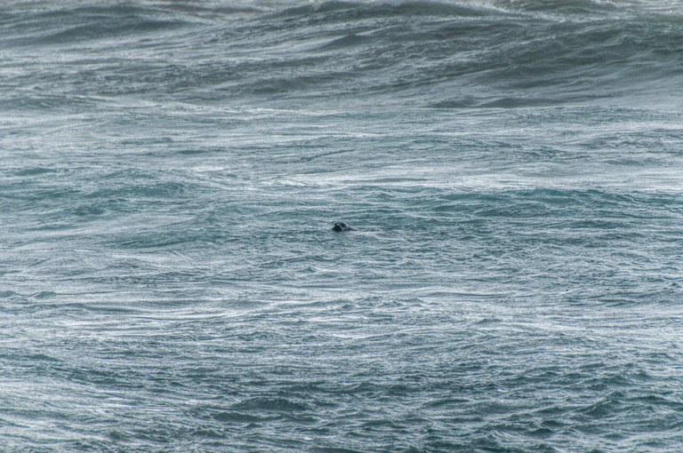 Warto zobaczyć na Islandii